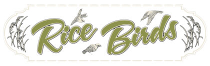 logo for Rice Birds