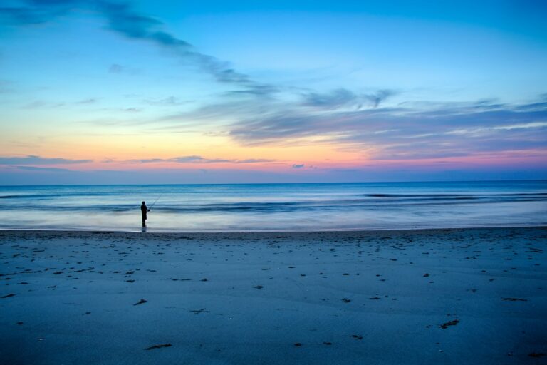 silhouette of person fishing on shallow part of sea