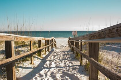 wooden fence towards the ocean