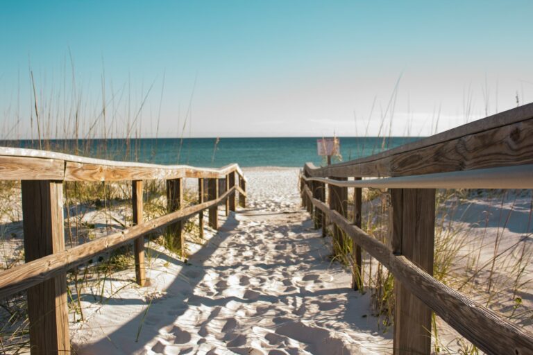 wooden fence towards the ocean